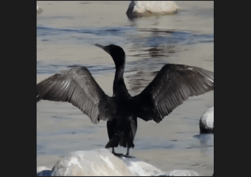 Fujinon - stabilizace on